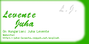levente juha business card